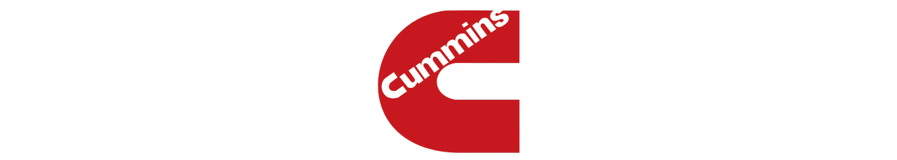 cummins_logo client-image
